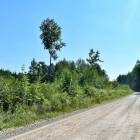 Laimes paugurs, Ķekava by labamaja